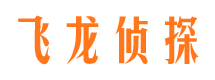 迎泽市调查公司